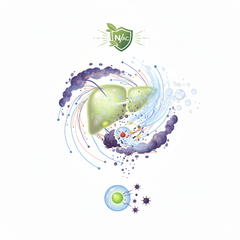 NAC - The Detox Powerhouse