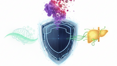 DHM - The Hangover Shield